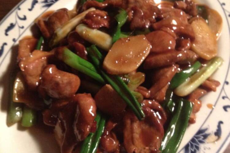 Chen Garden Brighton Rochester